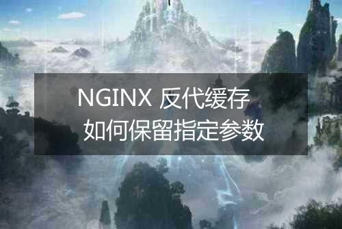 NGINX 反代缓存 如何保留指定参数