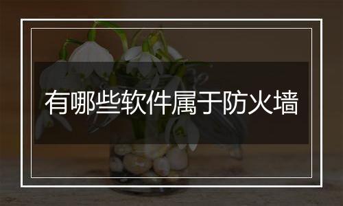 有哪些软件属于防火墙