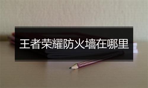 王者荣耀防火墙在哪里