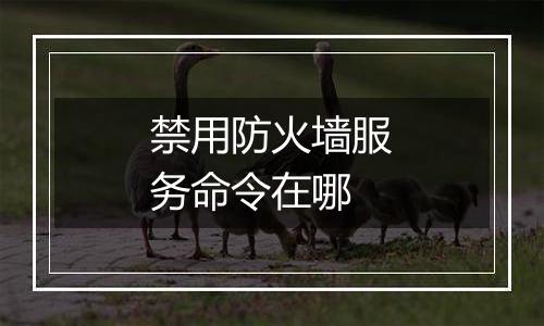 禁用防火墙服务命令在哪