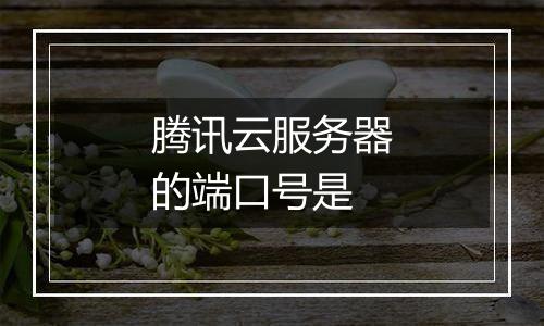 腾讯云服务器的端口号是
