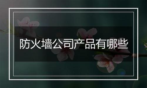 防火墙公司产品有哪些