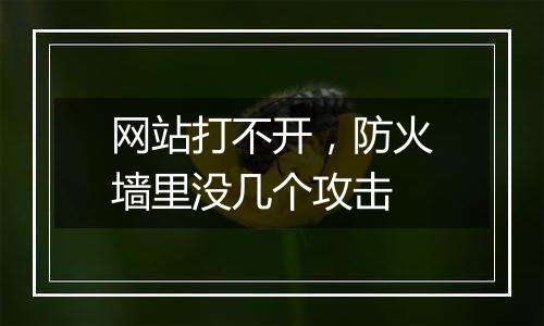 网站打不开,防火墙里没几个攻击
