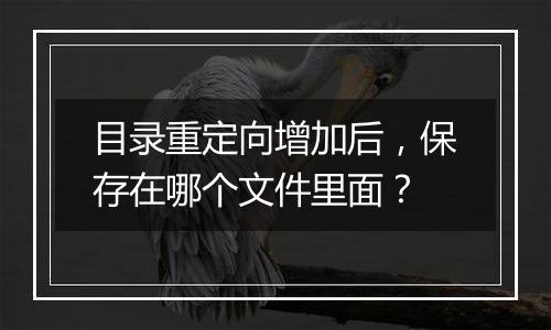 目录重定向增加后，保存在哪个文件里面？