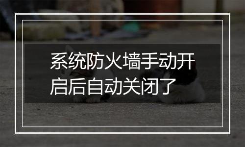 系统防火墙手动开启后自动关闭了
