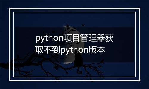 python项目管理器获取不到python版本
