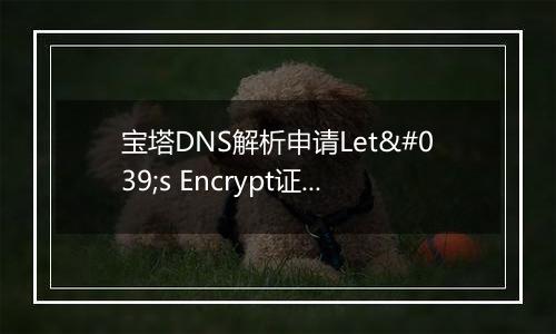 宝塔DNS解析申请Let's Encrypt证书失败的问题