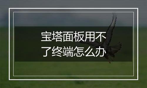 宝塔面板用不了终端怎么办