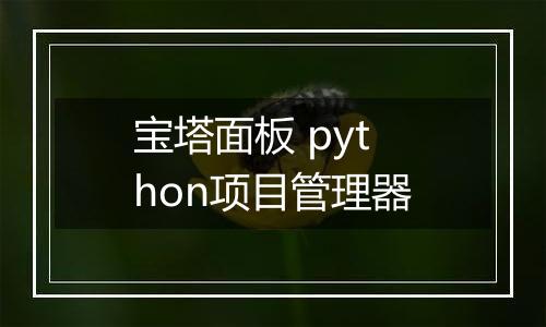 宝塔面板 python项目管理器