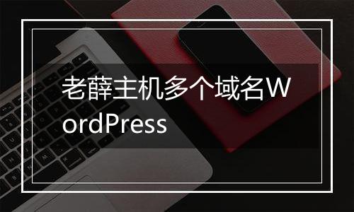 老薛主机多个域名WordPress