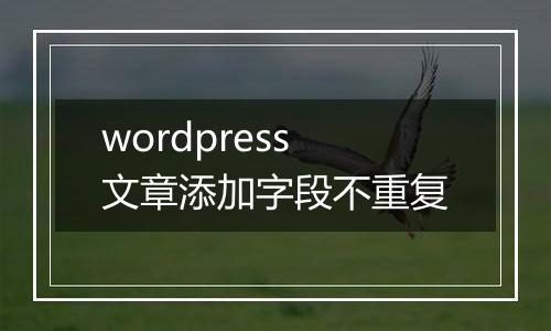 wordpress文章添加字段不重复