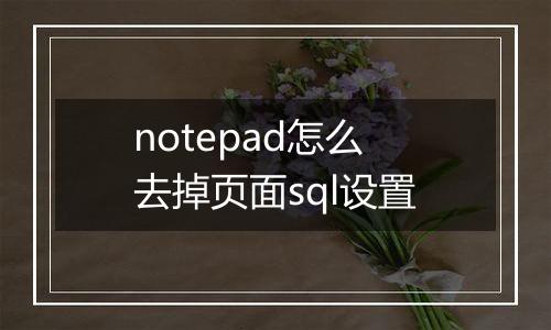 notepad怎么去掉页面sql设置