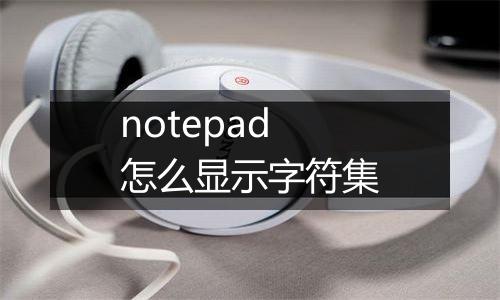 notepad怎么显示字符集