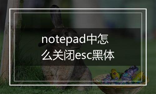 notepad中怎么关闭esc黑体