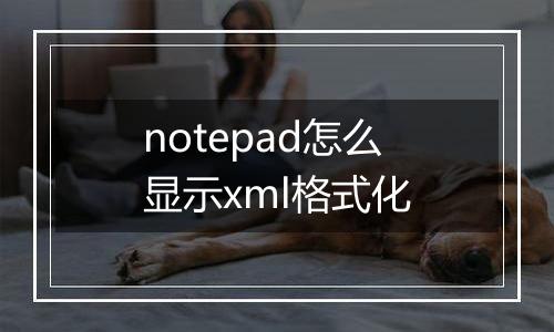 notepad怎么显示xml格式化