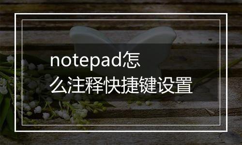 notepad怎么注释快捷键设置