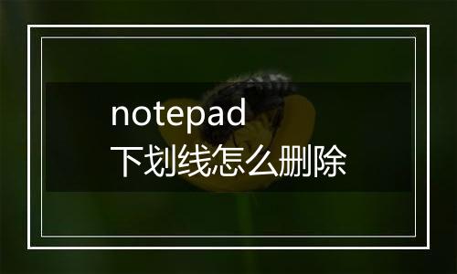 notepad下划线怎么删除