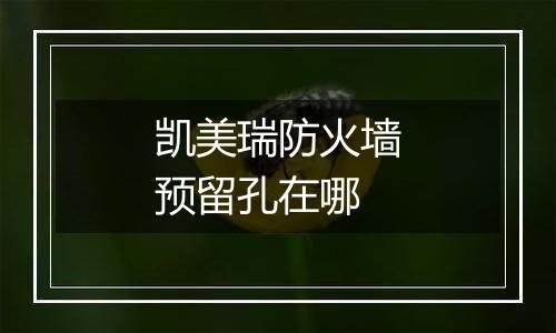 凯美瑞防火墙预留孔在哪