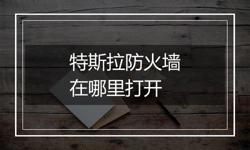 特斯拉防火墙在哪里打开