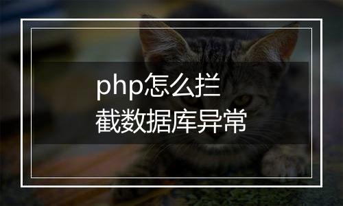 php怎么拦截数据库异常