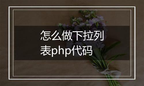 怎么做下拉列表php代码