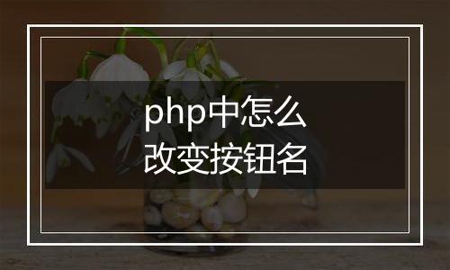 php中怎么改变按钮名