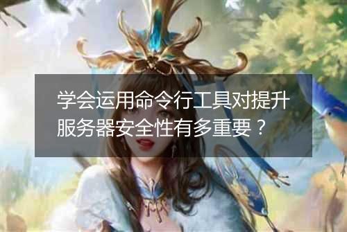 学会运用命令行工具对提升服务器安全性有多重要?