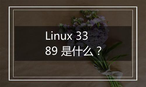 Linux 3389 是什么?