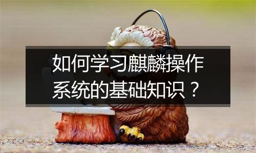 如何学习麒麟操作系统的基础知识?