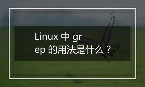 Linux 中 grep 的用法是什么?