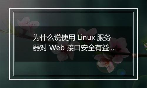 为什么说使用 Linux 服务器对 Web 接口安全有益?
