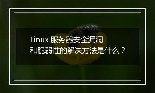 Linux 服务器安全漏洞和脆弱性的解决方法是什么?