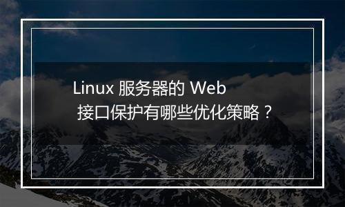 Linux 服务器的 Web 接口保护有哪些优化策略?