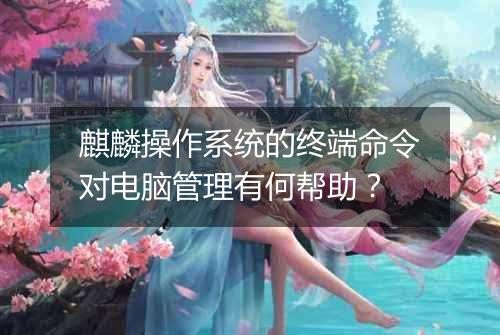 麒麟操作系统的终端命令对电脑管理有何帮助?