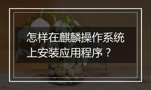 怎样在麒麟操作系统上安装应用程序?