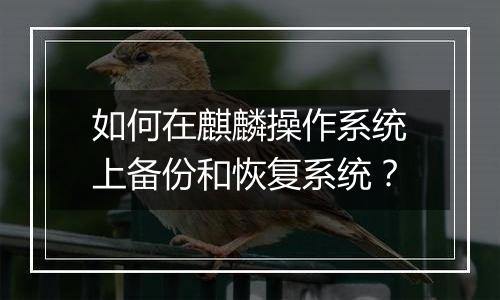 如何在麒麟操作系统上备份和恢复系统？