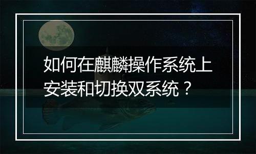 如何在麒麟操作系统上安装和切换双系统？