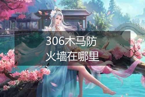 306木马防火墙在哪里
