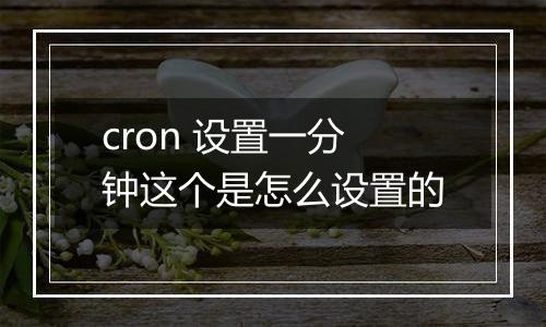 cron 设置一分钟这个是怎么设置的
