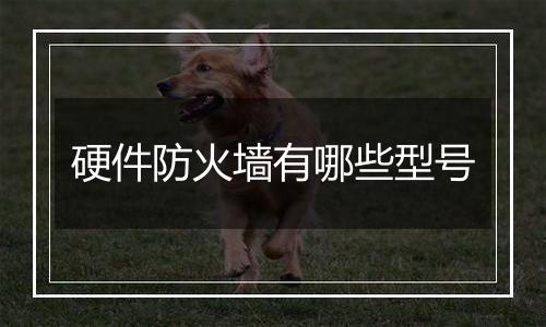 硬件防火墙有哪些型号