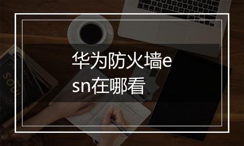 华为防火墙esn在哪看
