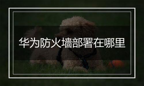 华为防火墙部署在哪里