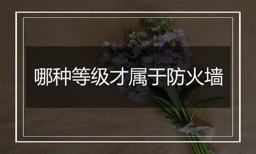 哪种等级才属于防火墙