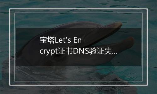 宝塔Let's Encrypt证书DNS验证失败