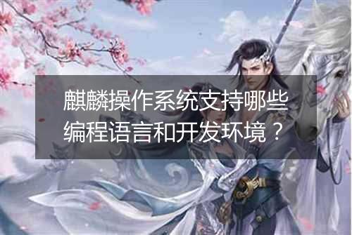 麒麟操作系统支持哪些编程语言和开发环境？