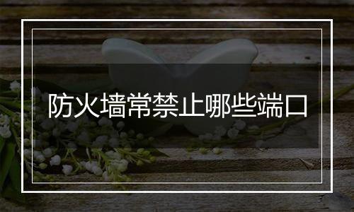 防火墙常禁止哪些端口