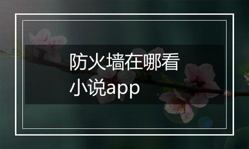 防火墙在哪看小说app
