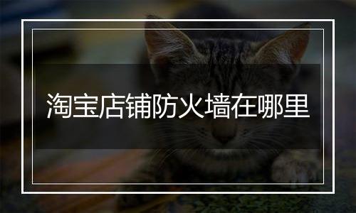 淘宝店铺防火墙在哪里