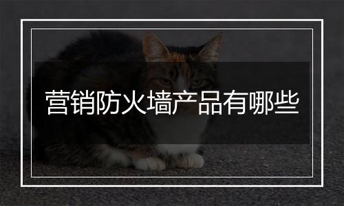 营销防火墙产品有哪些