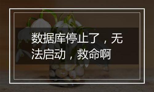 数据库停止了，无法启动，救命啊